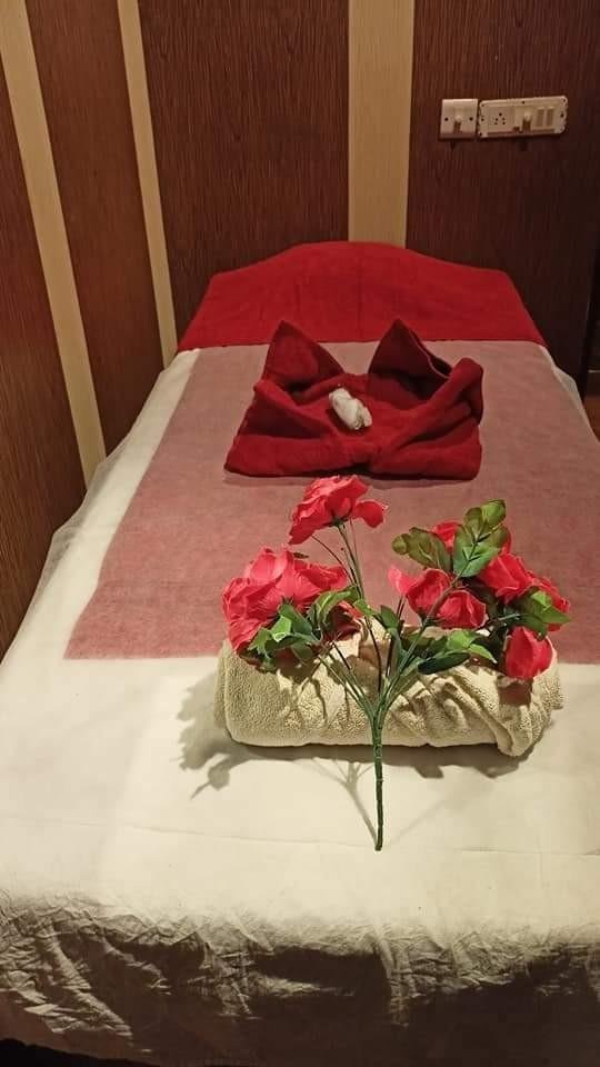 spa-img